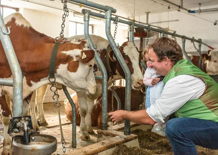 Hotel-pension Lackenbauer 4* Bad Hofgastein