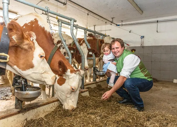 Hotel-pension Lackenbauer Affittacamere 4*