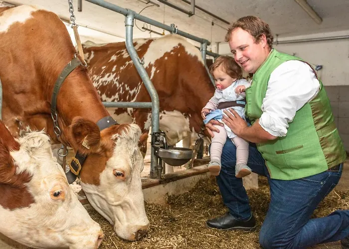 Hotel-pension Lackenbauer 4*