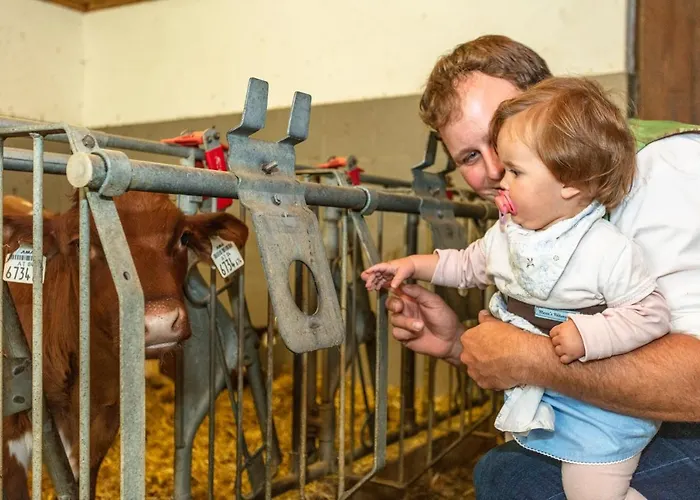 Hotel-pension Lackenbauer Affittacamere